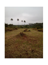 Legits properties for sale